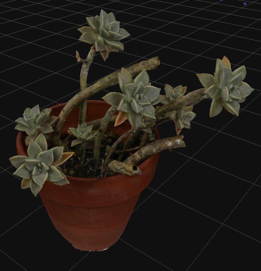 Click image for larger version

Name:	Strange_Plant_3D_Flow_01.jpg
Views:	194
Size:	68.4 KB
ID:	2322