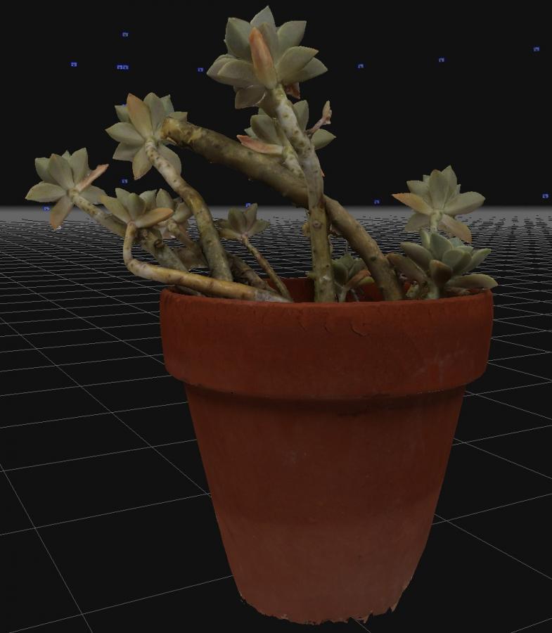 Click image for larger version

Name:	Strange_Plant_3D_Flow_02.jpg
Views:	193
Size:	54.7 KB
ID:	2324