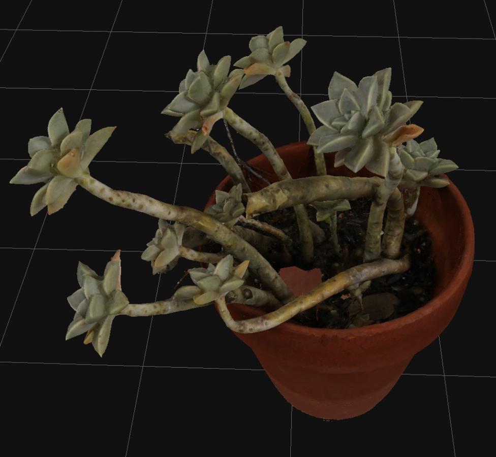 Click image for larger version

Name:	Strange_Plant_3D_Flow_03.jpg
Views:	193
Size:	65.8 KB
ID:	2325